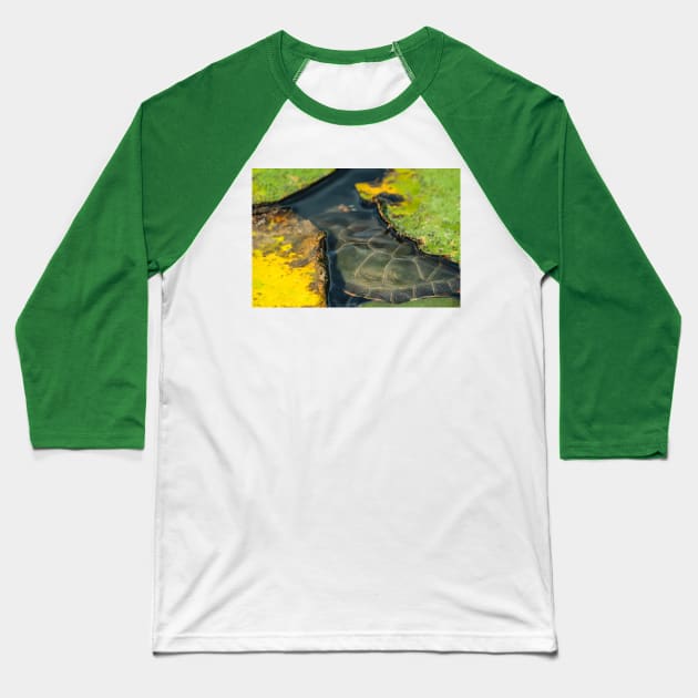 Turtle Shells and Lily Pads Photograph Baseball T-Shirt by love-fi